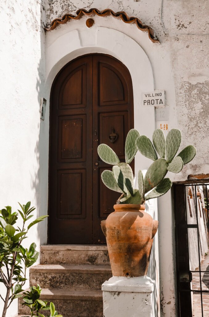 Jolie porte et cactus