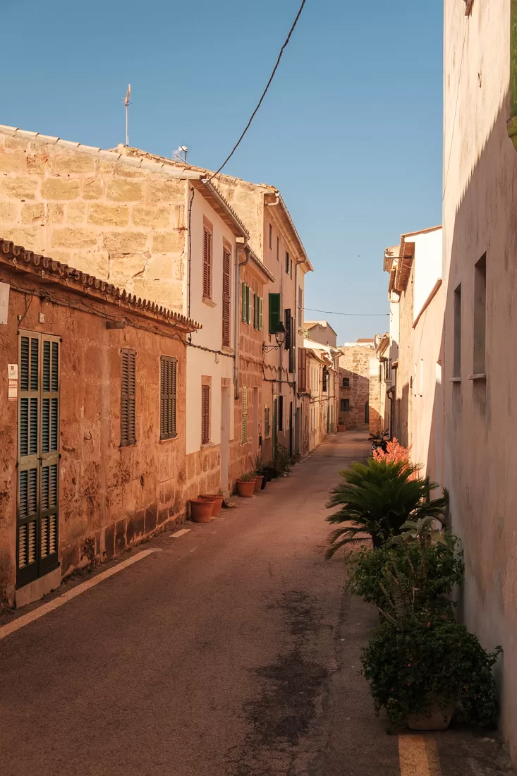 Alcudia