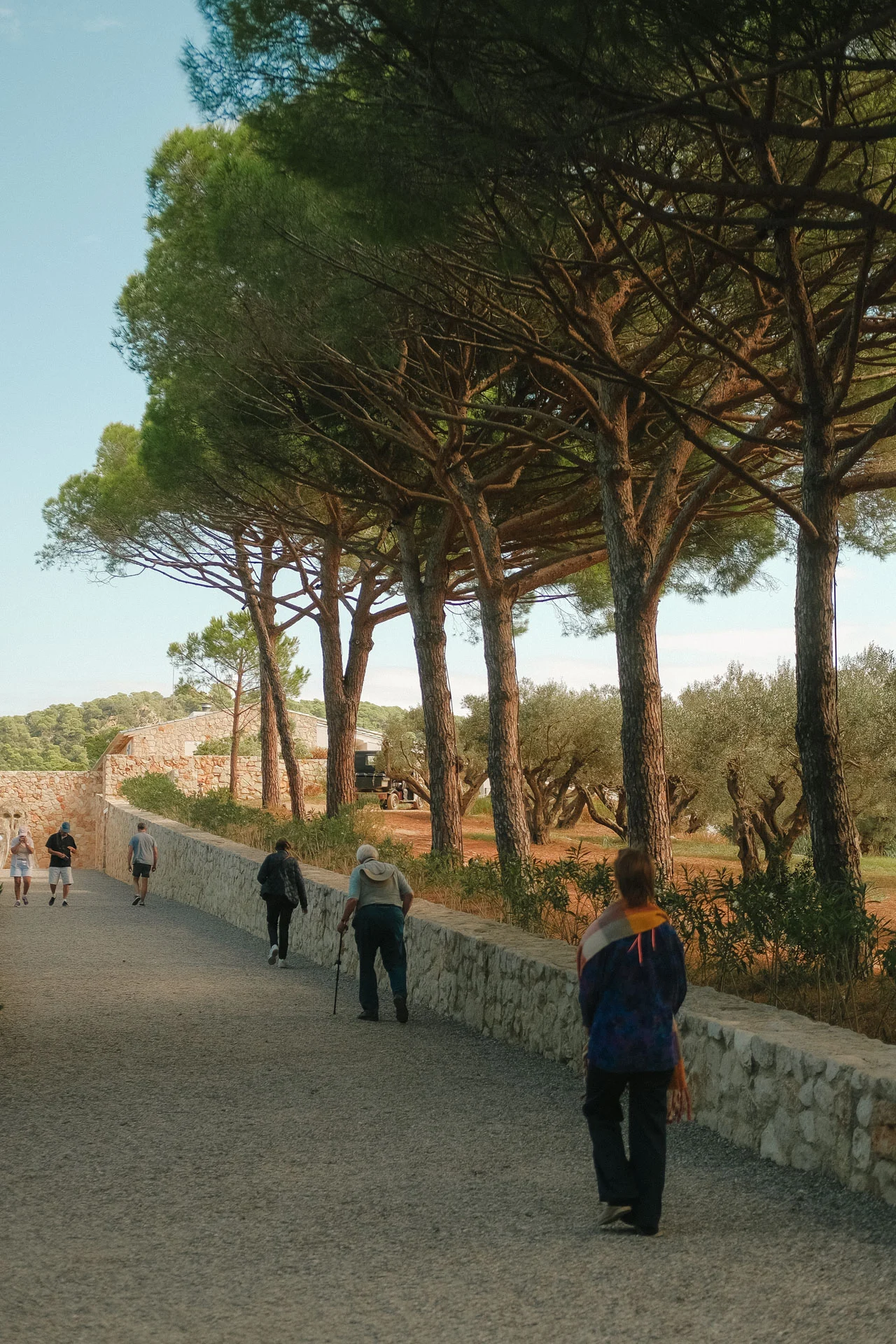 Que faire à Porquerolles : Fondation Carmignac