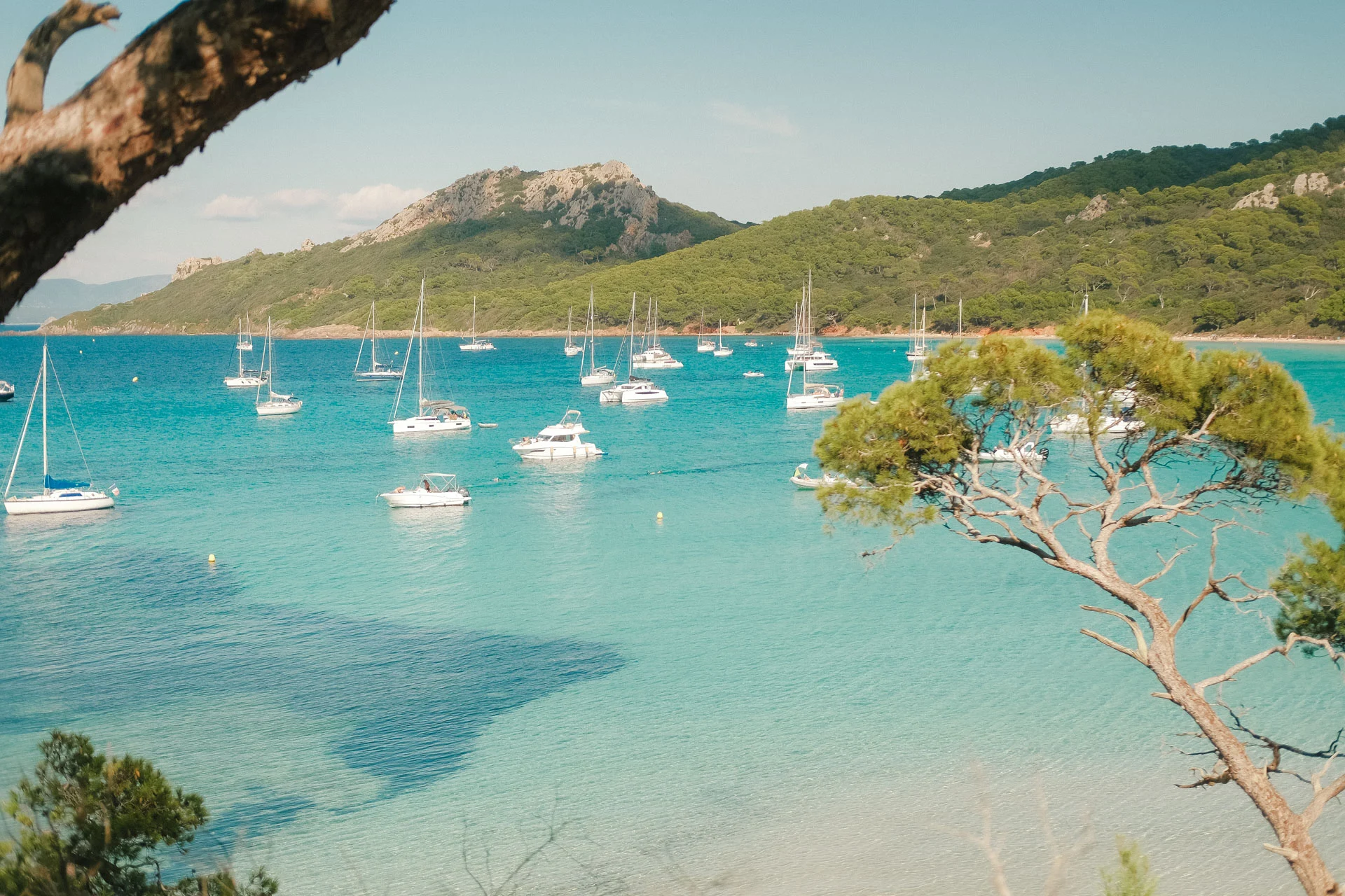 Que faire à Porquerolles : plage de Notre-Dame