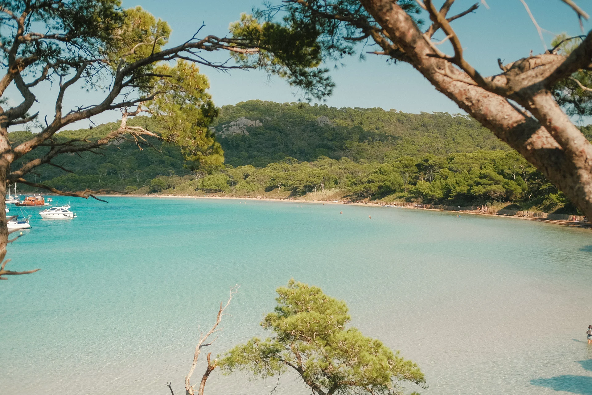 Que faire à Porquerolles : plage de Notre-Dame