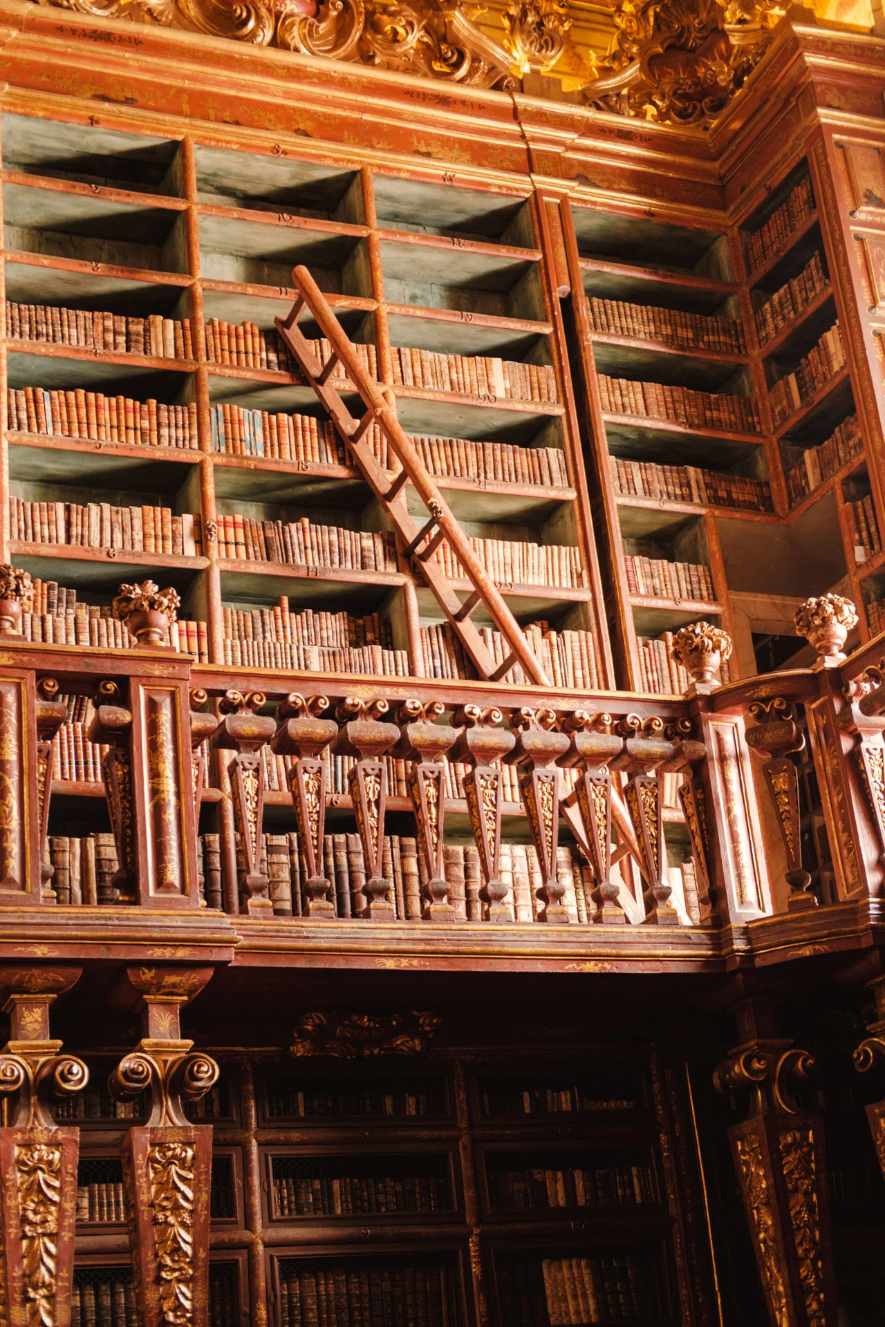 Visiter Coimbra en 1 jour : librairie Joanina